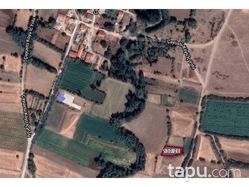 Afyonkarahisar Dinar Çayüstü Köyünde 675 m2 Tarla