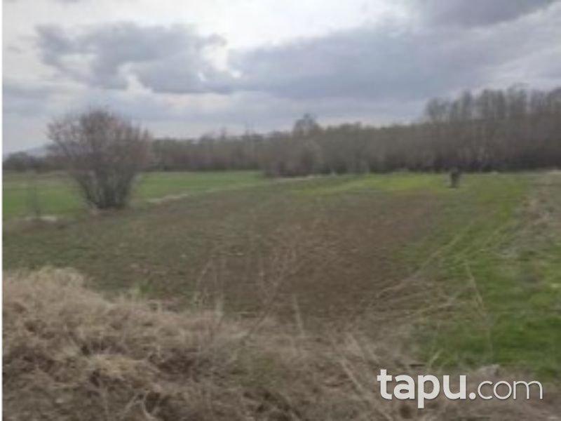 Afyonkarahisar Dinar Çayüstü Köyünde 675 m2 Tarla