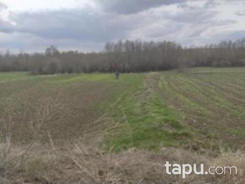 Afyonkarahisar Dinar Çayüstü Köyünde 675 m2 Tarla