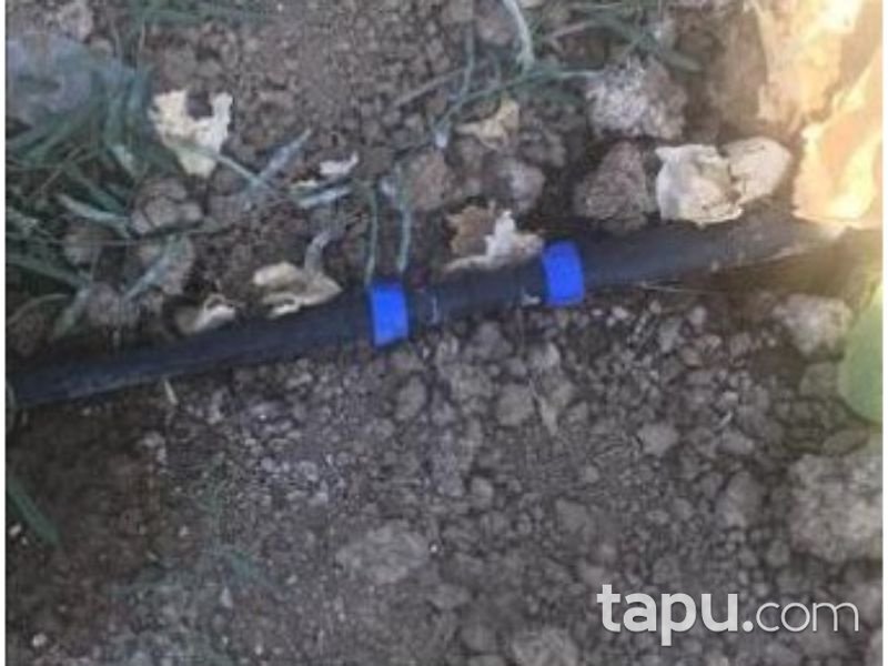 Afyonkarahisar Dinar Akgün Köyunden 4000 m2 Tarla