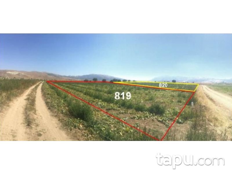 Afyonkarahisar Dinar Akgün Köyunden 4000 m2 Tarla