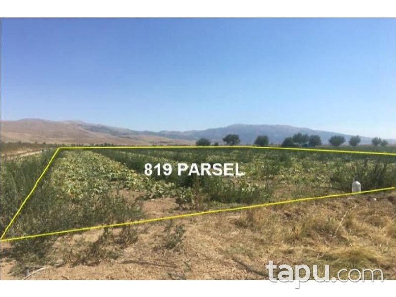 Afyonkarahisar Dinar Akgün Köyunden 4000 m2 Tarla