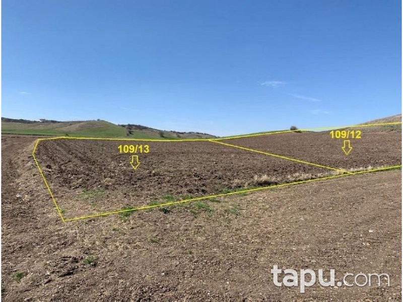 Çorum Merkez Sazdeğirmeni Mahallesinde 4611 m2 Tarla