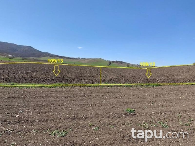 Çorum Merkez Sazdeğirmeni Mahallesinde 4611 m2 Tarla