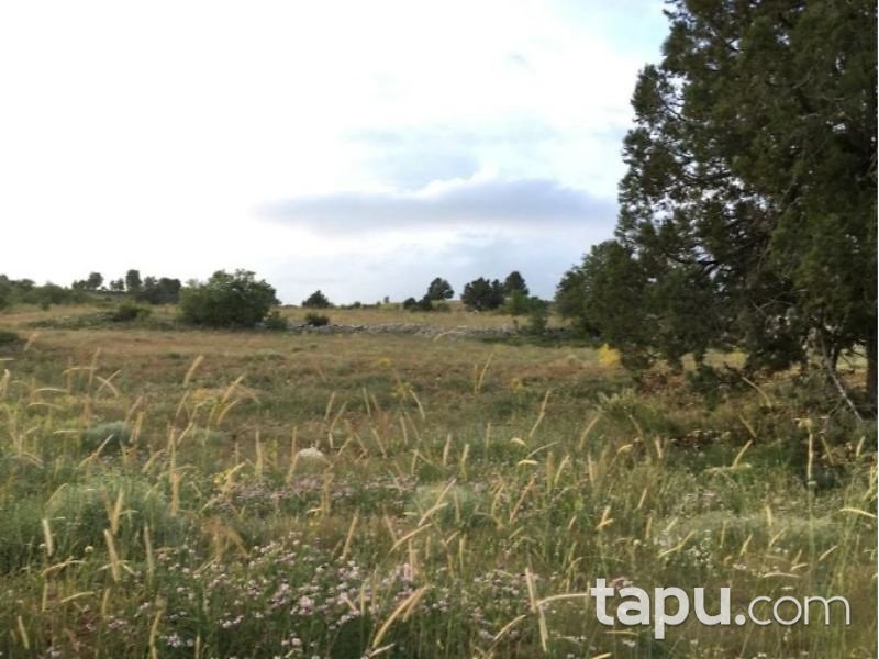 Karaman Ermenek Kazancı Yukarı Mahallesinde 25 Dönüm Tarla