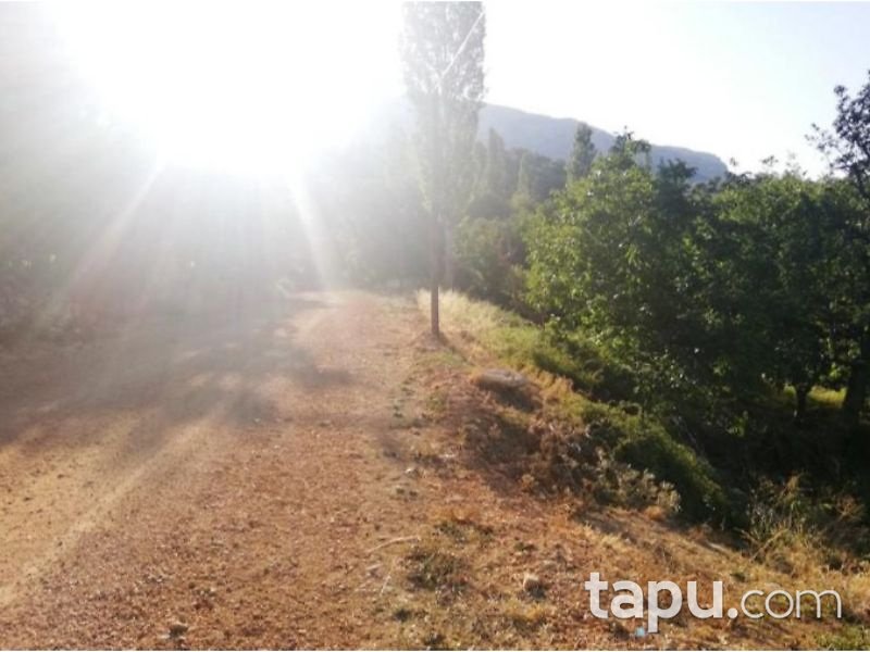 Karaman Ermenek Güneyyurt Aralık Mahallesinde 866 m2 Arsa