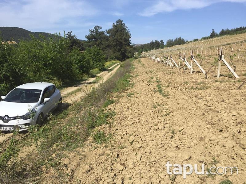 Sakarya Geyve'de 9.273 m2 Tarla