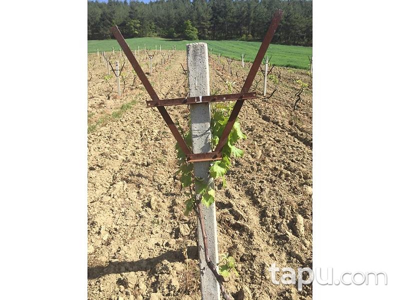 Sakarya Geyve'de 9.273 m2 Tarla