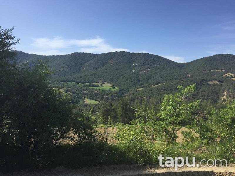 Sakarya Geyve'de 9.273 m2 Tarla