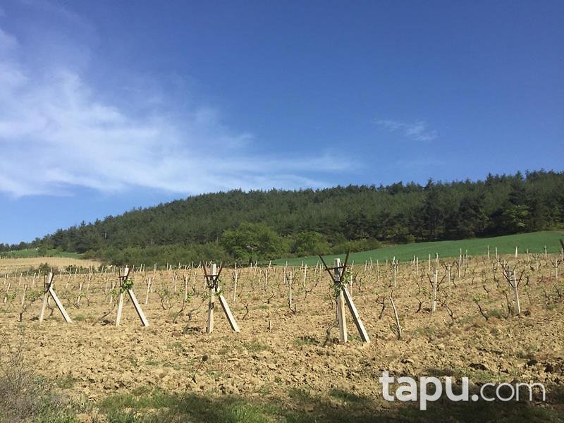 Sakarya Geyve'de 9.273 m2 Tarla