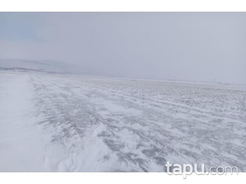 Afyonkarahisar Şuhut Karadilli/Çağlayan Mahallesinde 18.017 m2 Tarla