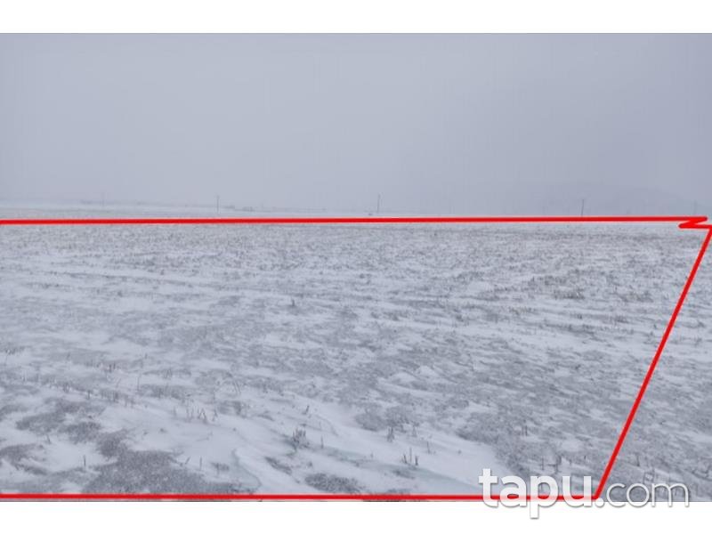 Afyonkarahisar Şuhut Karadilli/Çağlayan Mahallesinde 18.017 m2 Tarla