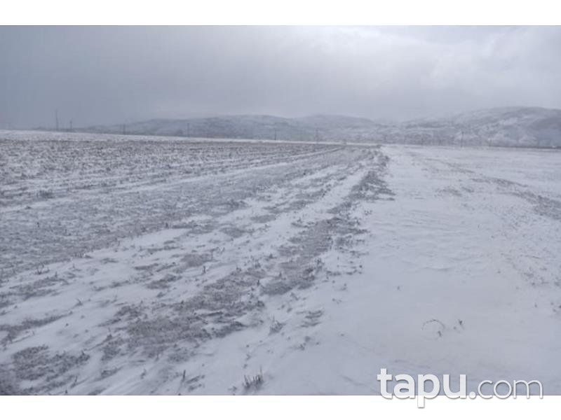 Afyonkarahisar Şuhut Karadilli/Çağlayan Mahallesinde 18.017 m2 Tarla