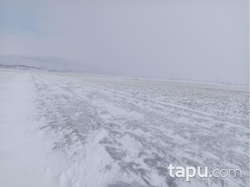 Afyonkarahisar Şuhut Karadilli/Çağlayan Mahallesinde 18.017 m2 Tarla