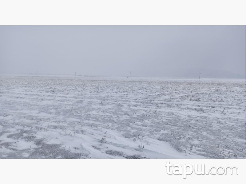 Afyonkarahisar Şuhut Karadilli/Çağlayan Mahallesinde 18.017 m2 Tarla