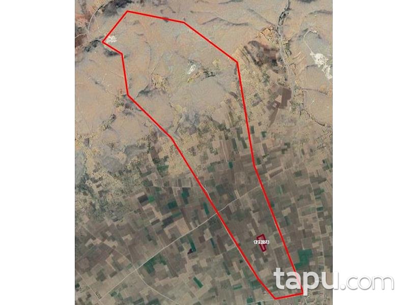 Afyonkarahisar Şuhut Karadilli/Çağlayan Mahallesinde 18.017 m2 Tarla