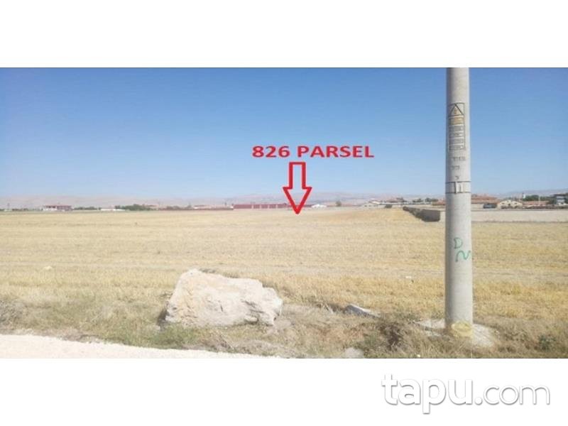Afyonkarahisar Dinar Okçular Mahallesinde 12900 m2 Tarla