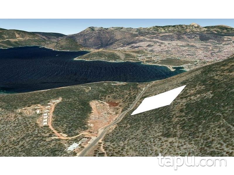 Antalya Kaş Bezirgan Mahallesinde 1/10 Hisseli 1574 m2 Zeytinlik