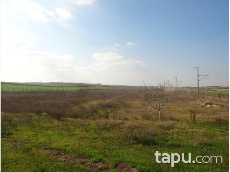 Tekirdağ Çorlu Hatip'te 22.177 m2 Bahçe