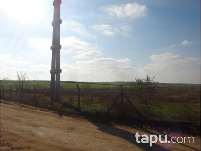 Tekirdağ Çorlu Hatip'te 22.177 m2 Bahçe