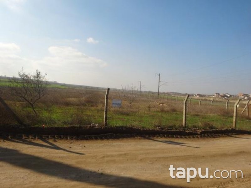 Tekirdağ Çorlu Hatip'te 22.177 m2 Bahçe