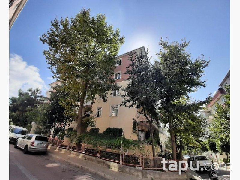 İstanbul Avcılar Ambarlı Mahallesinde 3+1 Daire