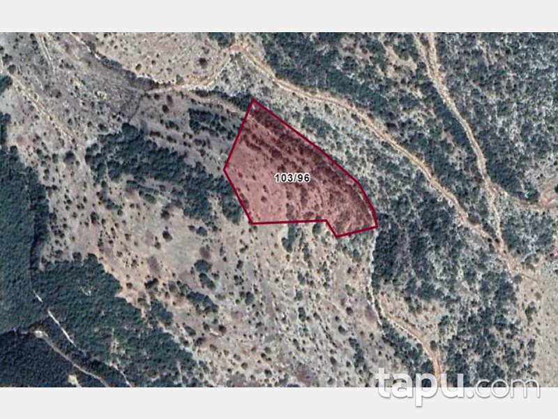 Mersin Tarsus Beylice Mahallesinde 16860 m2 Tarla