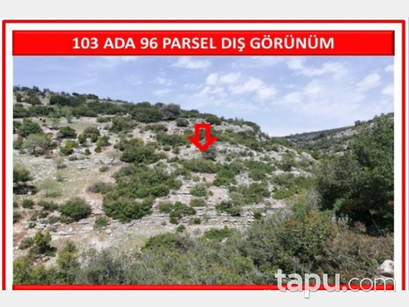 Mersin Tarsus Beylice Mahallesinde 16860 m2 Tarla