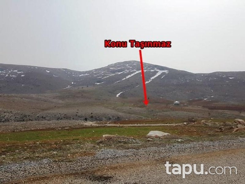 Kahramanmaraş Afşin İlçesi İncirli Mahallesinde 29 Dönüm Tarla