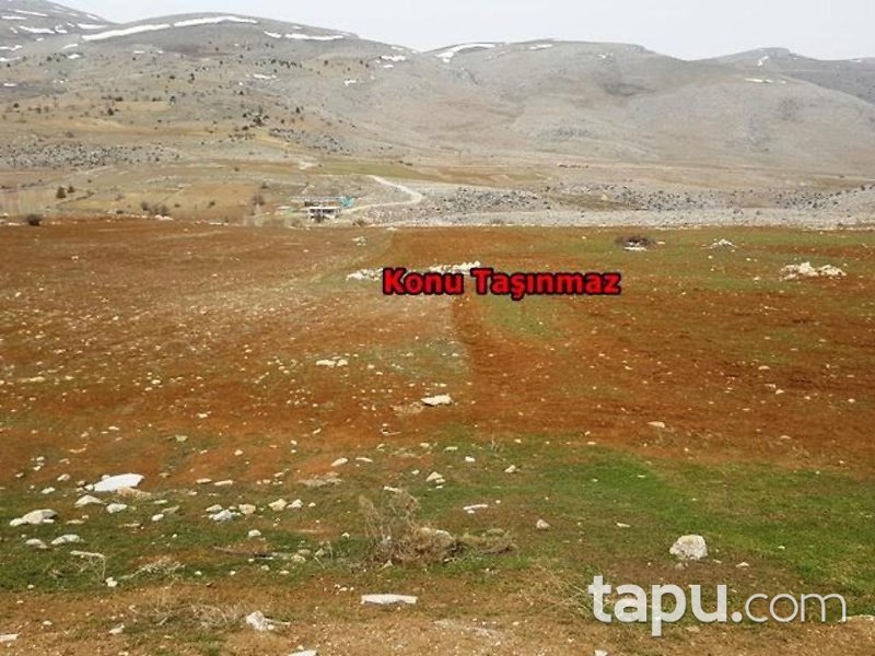 Kahramanmaraş Afşin İlçesi İncirli Mahallesinde 29 Dönüm Tarla