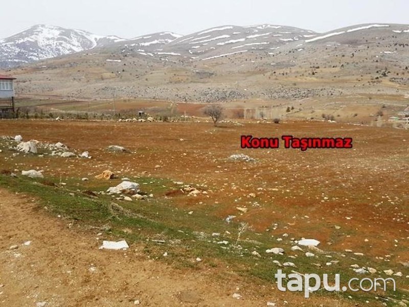 Kahramanmaraş Afşin İlçesi İncirli Mahallesinde 29 Dönüm Tarla