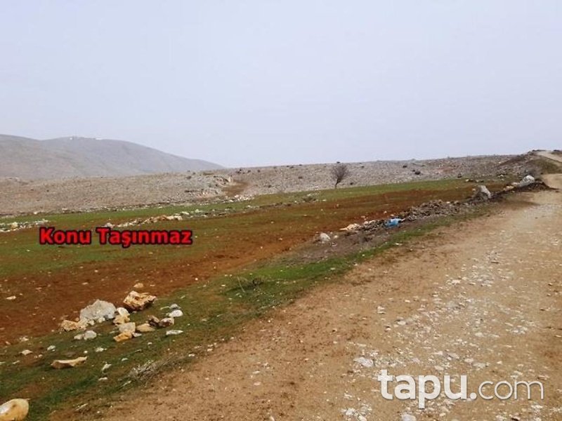 Kahramanmaraş Afşin İlçesi İncirli Mahallesinde 29 Dönüm Tarla