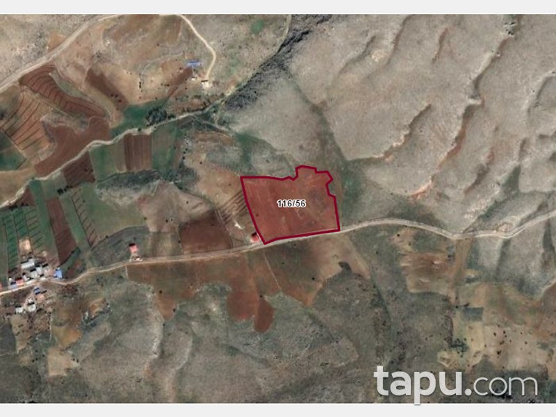 Kahramanmaraş Afşin İlçesi İncirli Mahallesinde 29 Dönüm Tarla