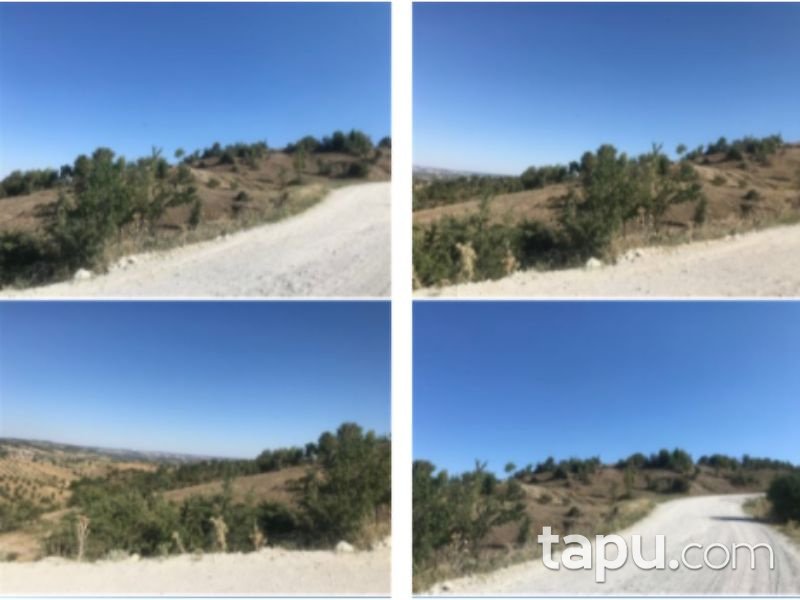 Manisa Demirci İcikler Mahallesi'nde 22 Dönüm Tarla