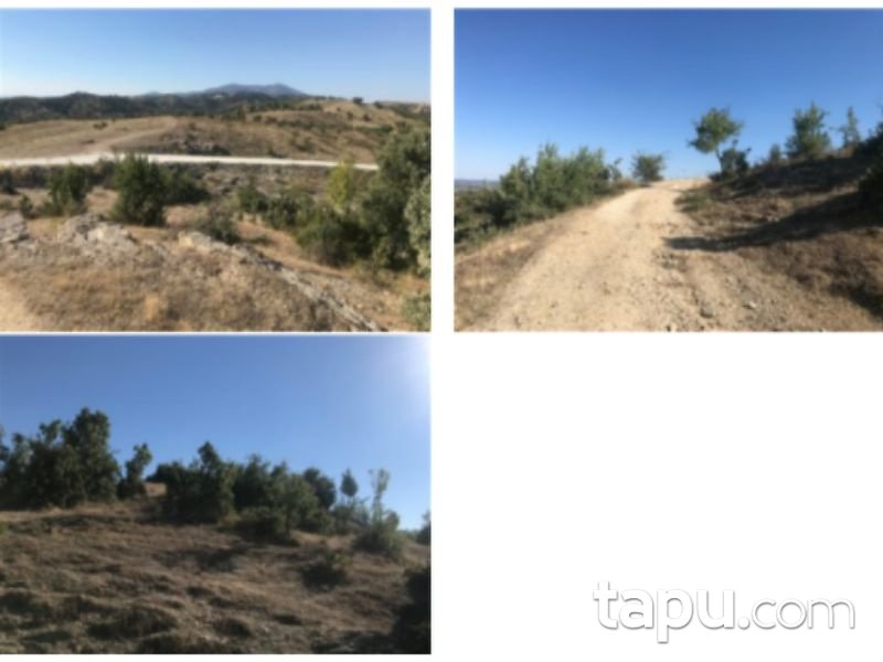 Manisa Demirci İcikler Mahallesi'nde 22 Dönüm Tarla