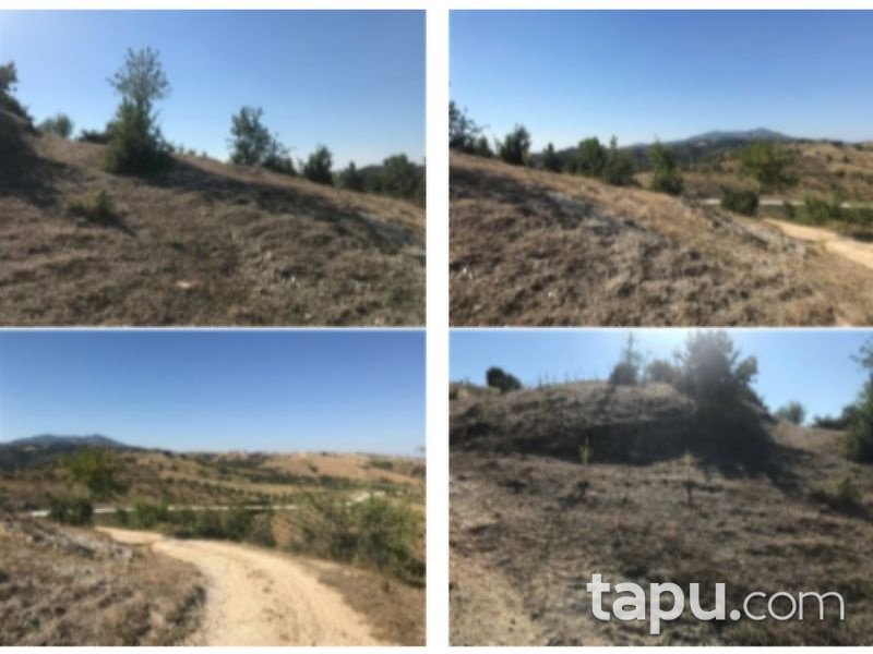 Manisa Demirci İcikler Mahallesi'nde 22 Dönüm Tarla