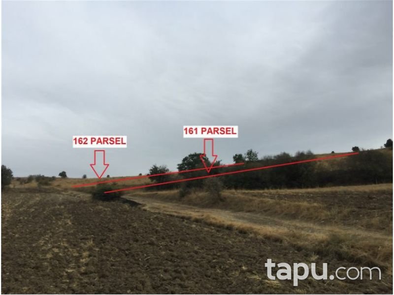 Yalvaç Kozluçay Köyü Dereboğazı Mevkiinde 9.650m2 Tarla