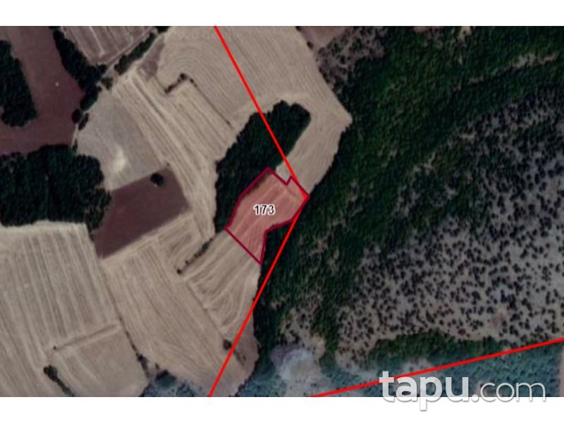 Tokat Zile Söğütözü Köyü'nde 3600 m2 Tarla