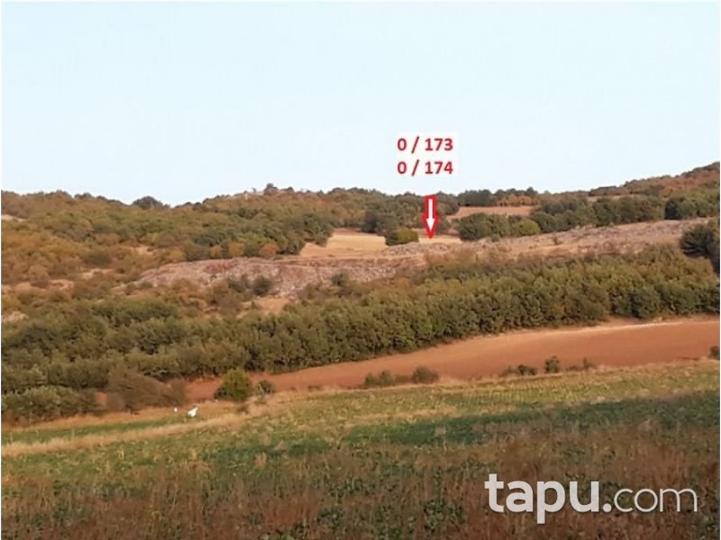 Tokat Zile Söğütözü Köyü'nde 3600 m2 Tarla