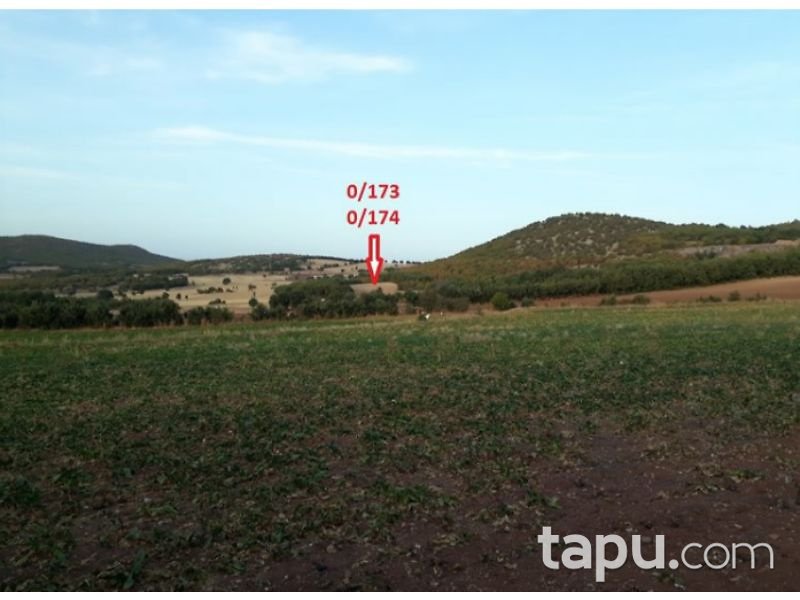 Tokat Zile Söğütözü Köyü'nde 7200 m2 Tarla