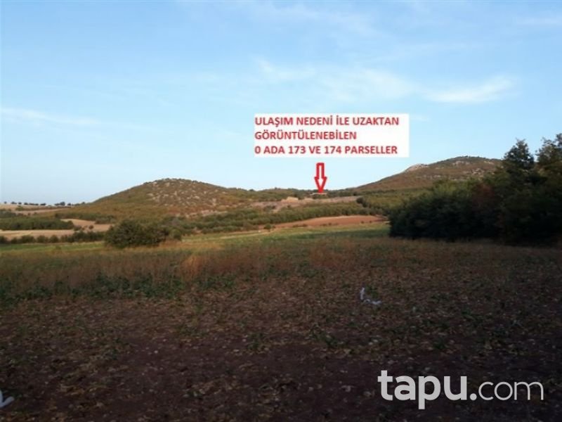 Tokat Zile Söğütözü Köyü'nde 7200 m2 Tarla
