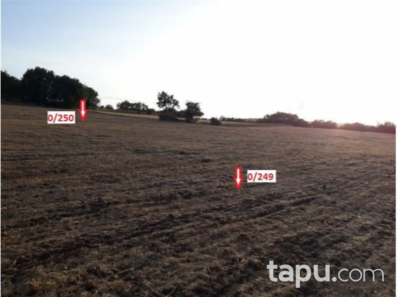 Tokat Zile Söğütözü Köyü'nde 5150m2 Tarla