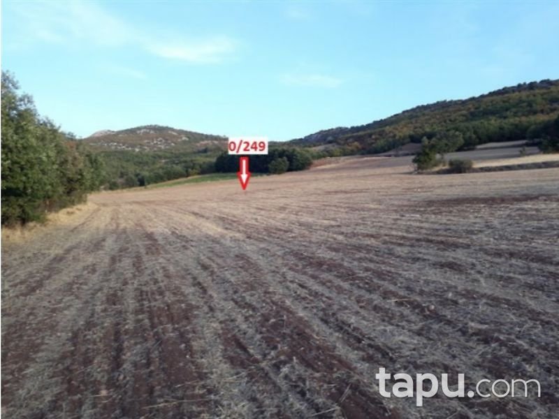 Tokat Zile Söğütözü Köyü'nde 5150m2 Tarla