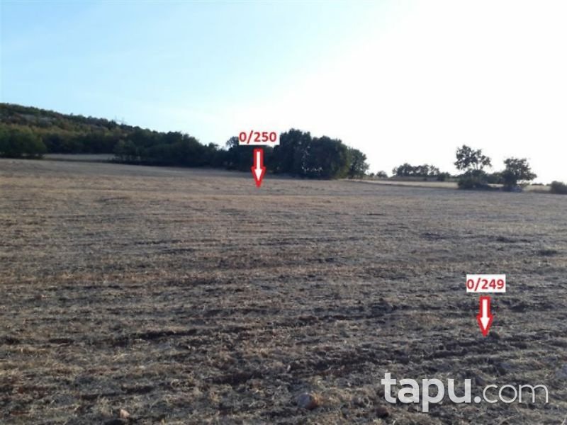 Tokat Zile Söğütözü Köyü'nde 5150m2 Tarla