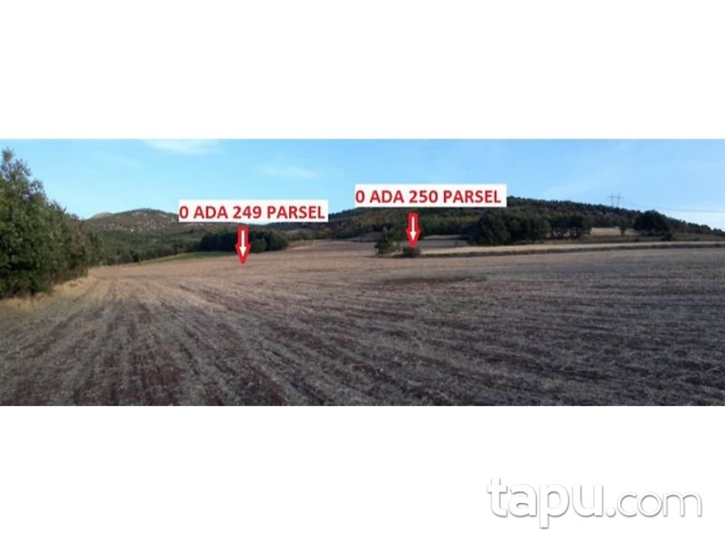 Tokat Zile Söğütözü Köyü'nde 5150m2 Tarla