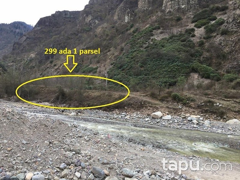 Artvin Murgul Petek Köyü Mahallesi'nde 8 Dönüm Tarla