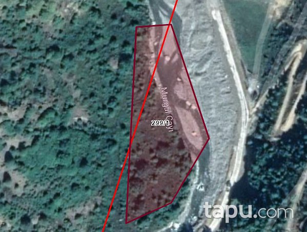 Artvin Murgul Petek Köyü Mahallesi'nde 8 Dönüm Tarla