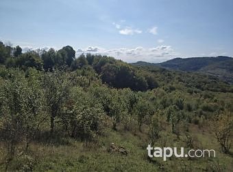 Bartın Amasra Kazpınarı Mahallesi'nde 6687m2 Tarla