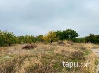 Elazığ Baskil Pınarlı Köyünde 4576m2 Kerpiç Ev ve Bahçesi