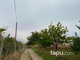 Elazığ Baskil Pınarlı Köyünde 4576m2 Kerpiç Ev ve Bahçesi